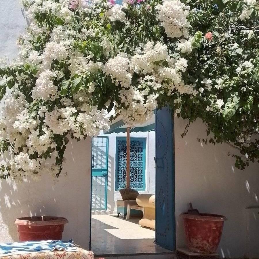 Djerbahouch Villa Midoun Exterior foto